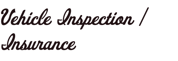 Vehicle Inspection / Insurance
